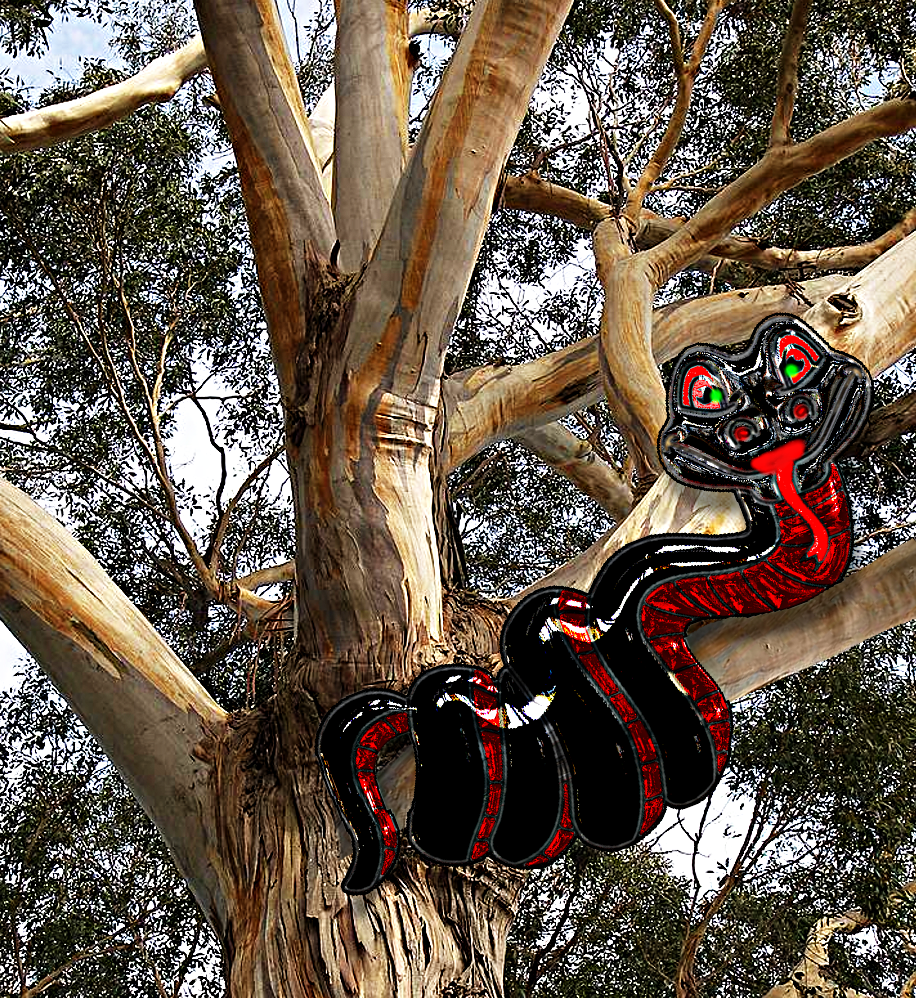snake_coiled.png