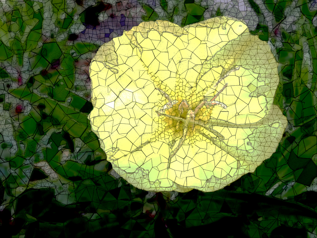 2018-07-25 14-24-42 evening, a multi-scaled mosaic, on 10 colour areas.jpg