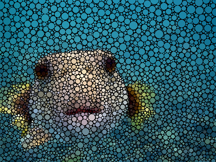 Astronotus_ocellatus-last.jpg