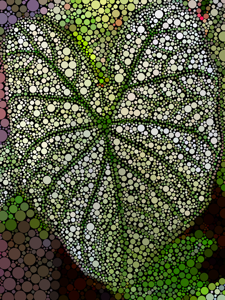 fpfreefoto-722.png