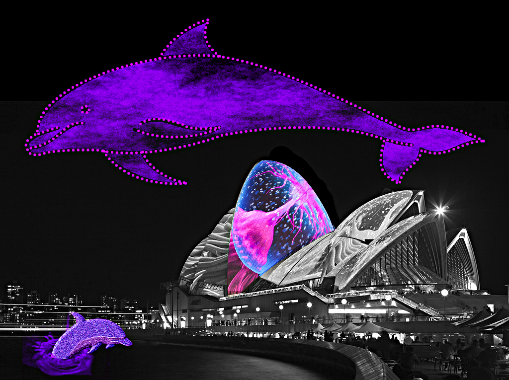 dolphin.png