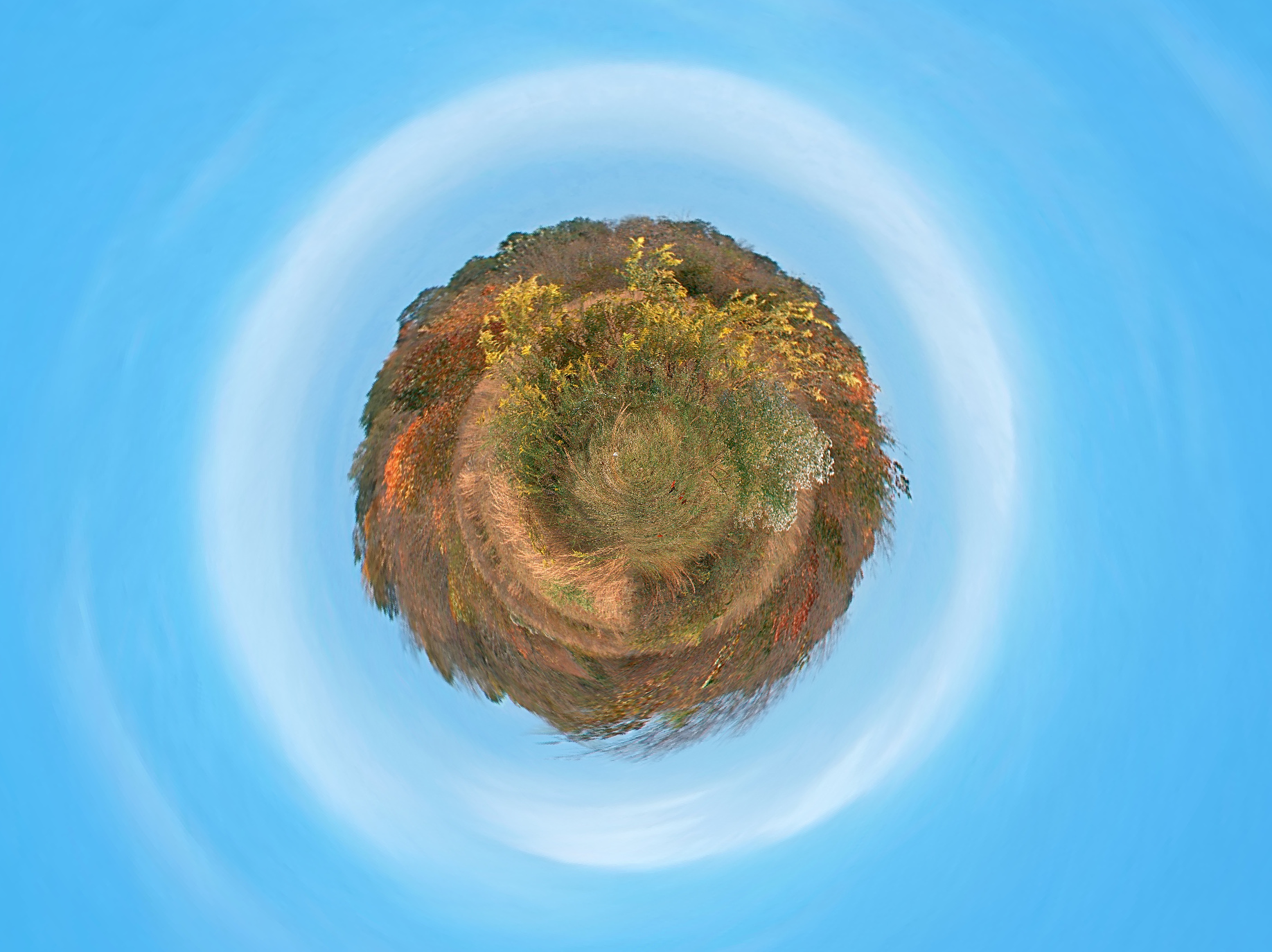 L1000042mp.jpg