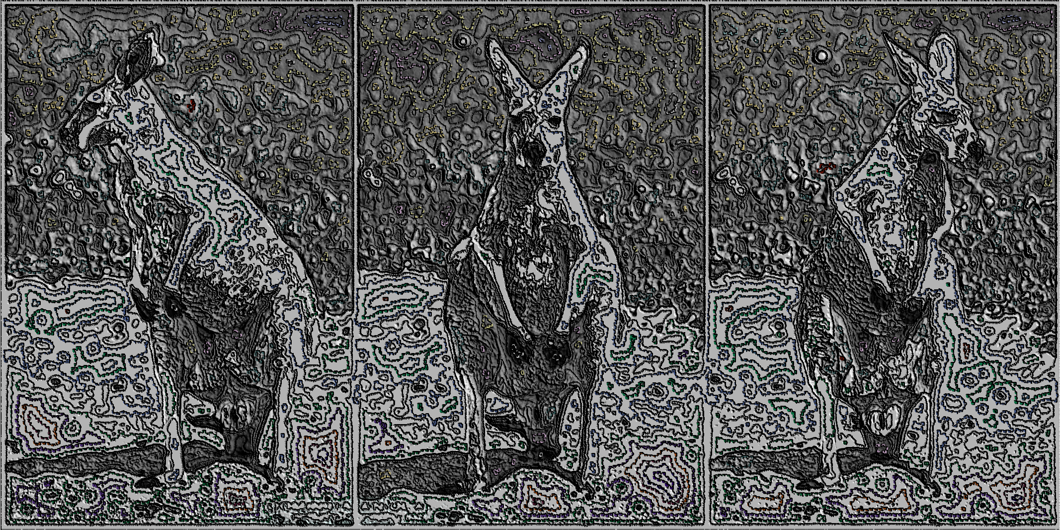 2018-09-05 12-58-56 the_guardian_by_dominikaaniola-d5vqiub, with repeated  inward borders (embossed).jpg