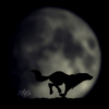 Wolf-running-with-the-moon.gif