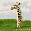 Giraffe-falling.gif