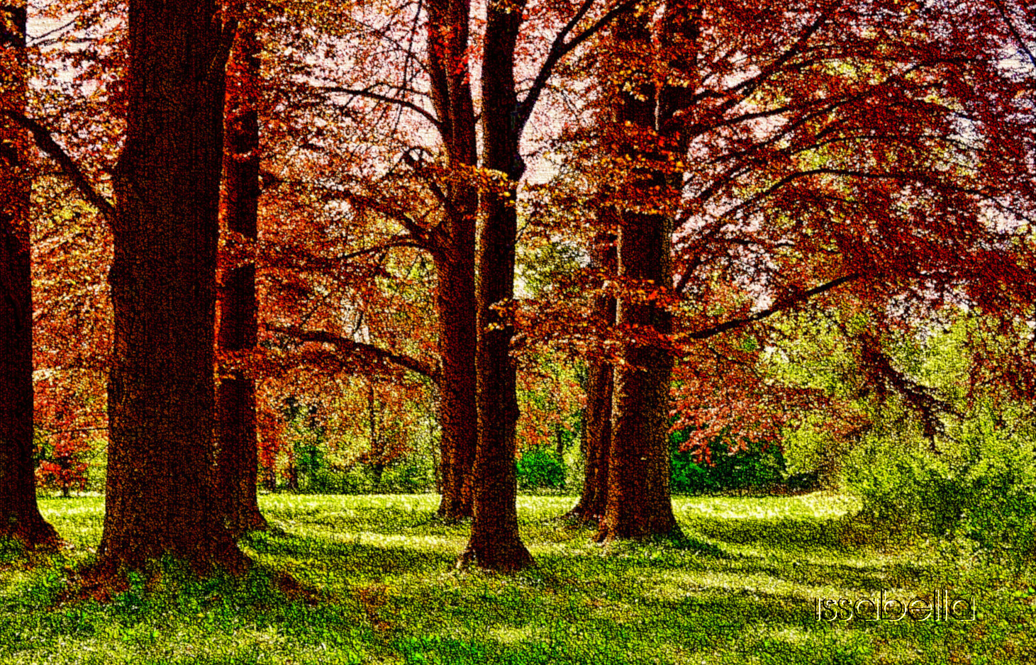 tree-3229512_DN_LineLook.jpg