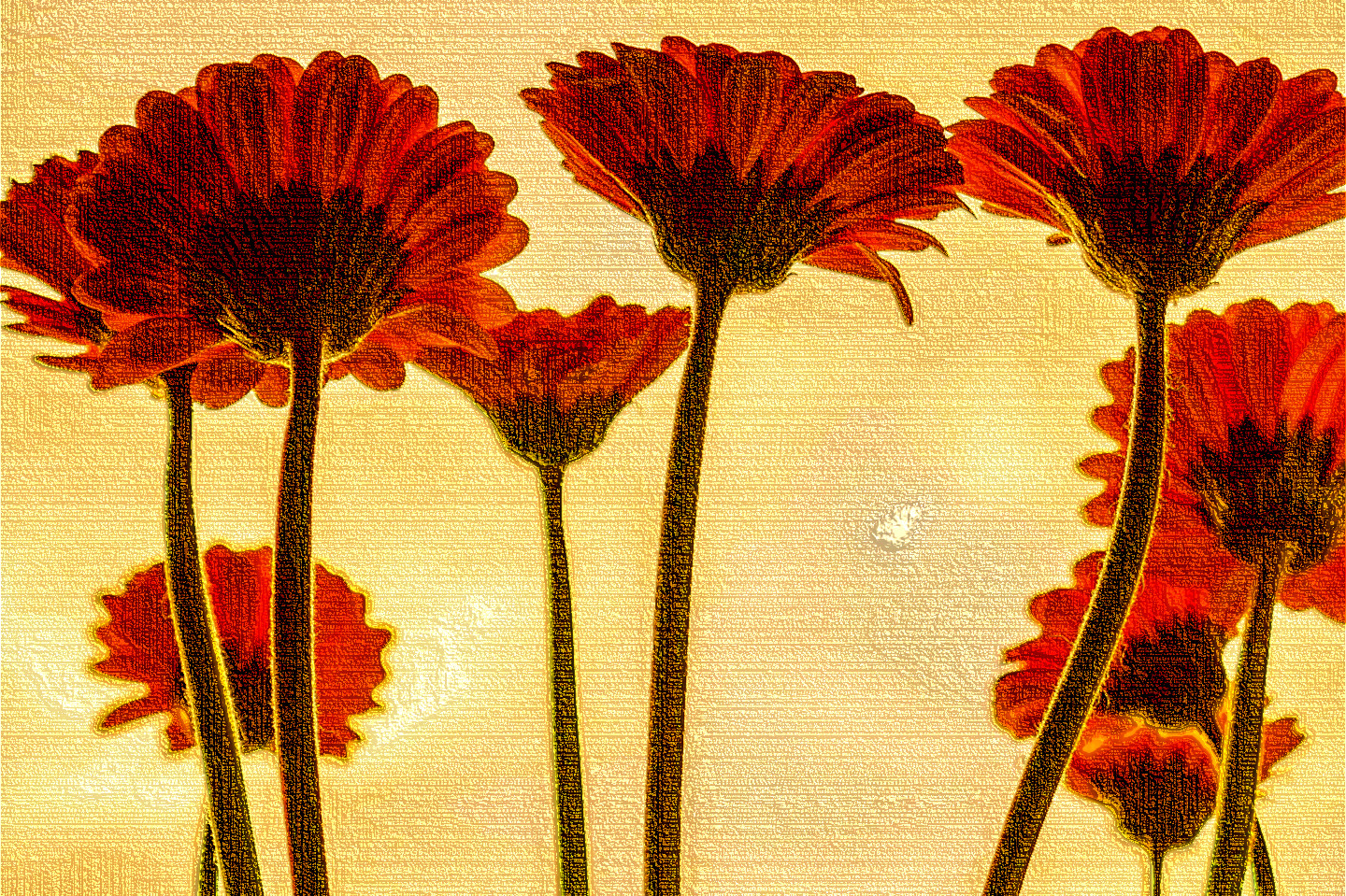 flowers-3705716_DN_LinesLook.jpg