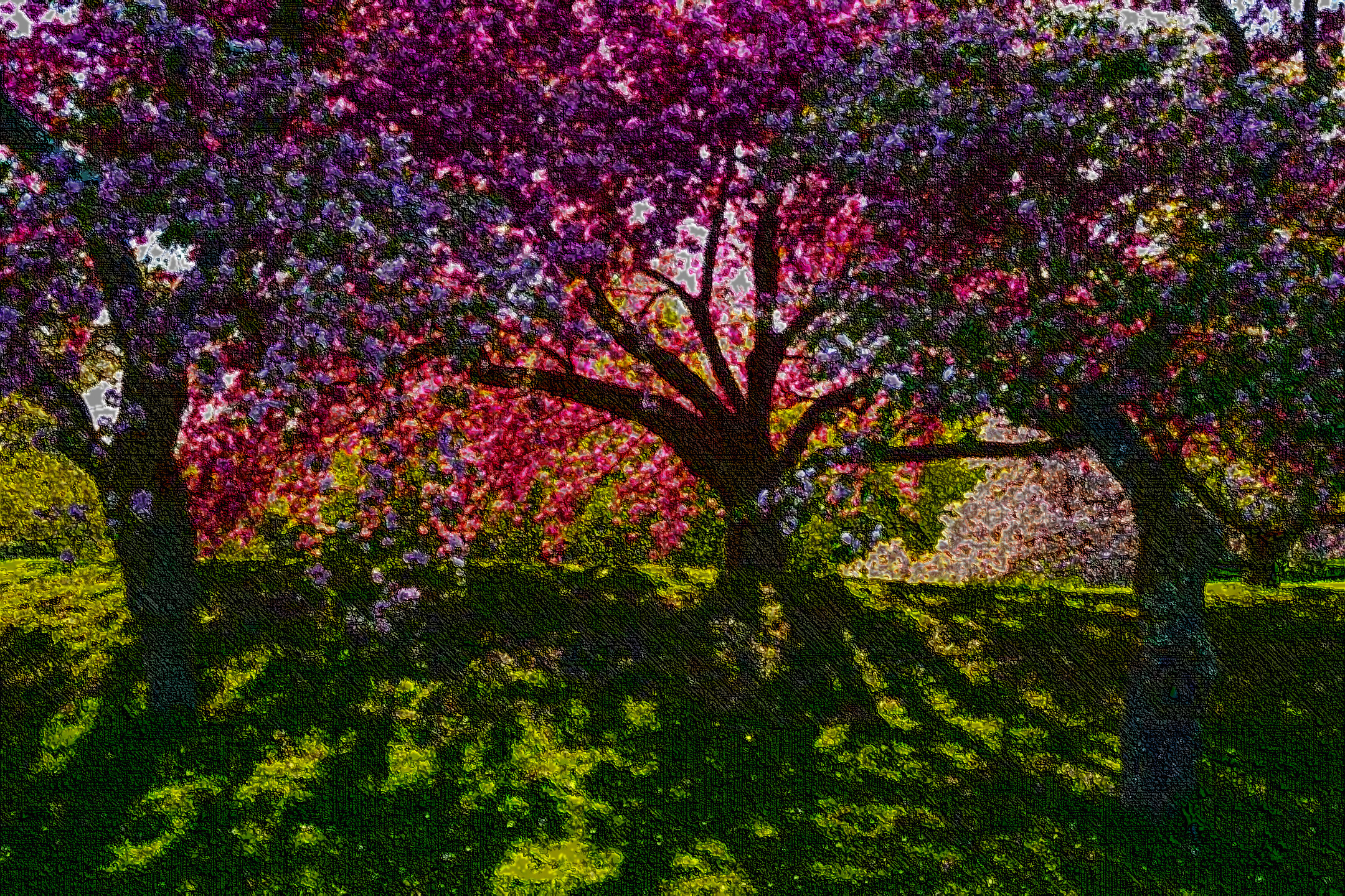 2018-10-07 15-49-59 01_flowering-tree_nationalgeographic_2343395, filled with lines, PPsketch.jpg