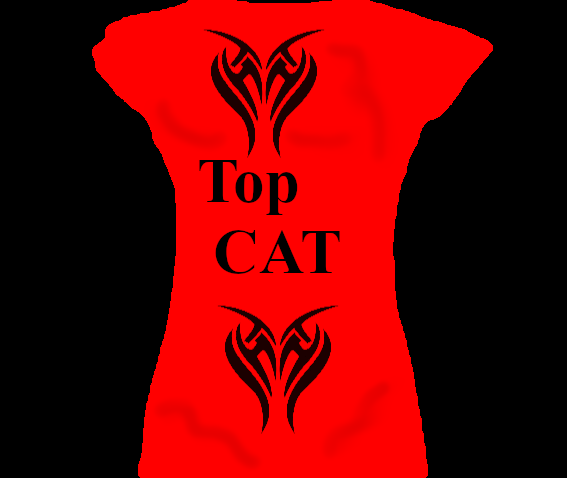 Shirt2.png
