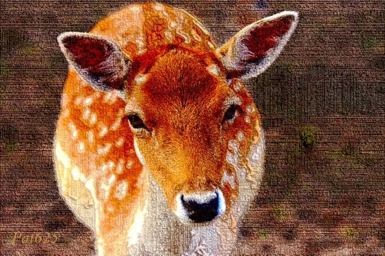 DN Draw Lines Look 2.10.Baby deer.jpg