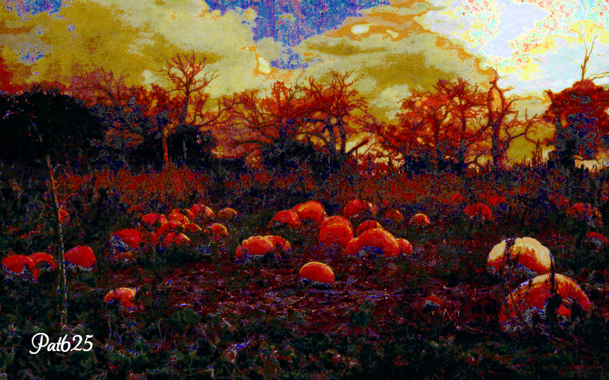 DN_Acry Look 2.10.Pumpkin Patch.jpg