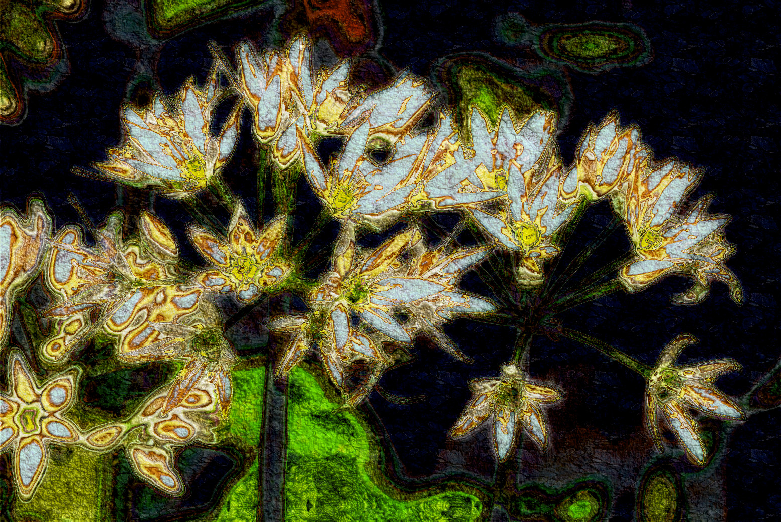 dsc_3122_sm_by_earth_hart-dcbuygn_DN_AcrylicLook.jpg
