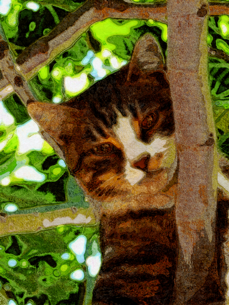 cat_acryl.look.jpg
