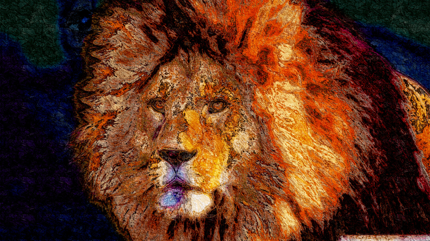 cool_lion-DN_AcrylicLook.jpg