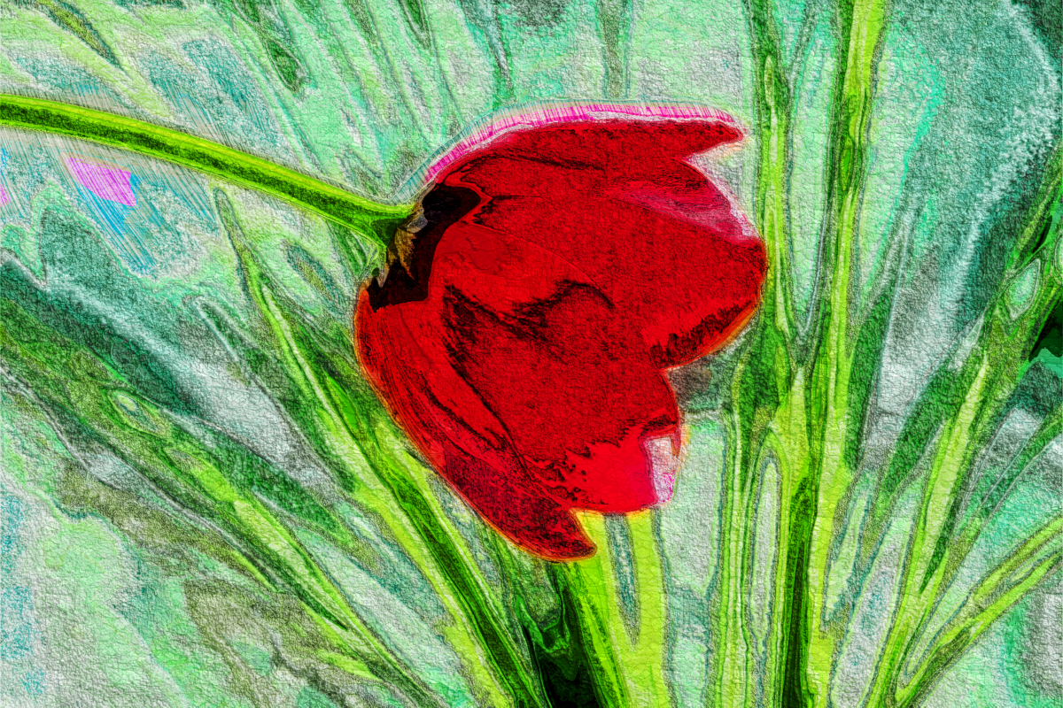 tulip.acryl.look.DN.png
