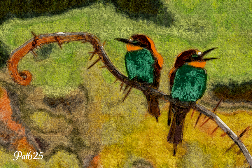 DN_Acry Look 2.10. Birds.jpg