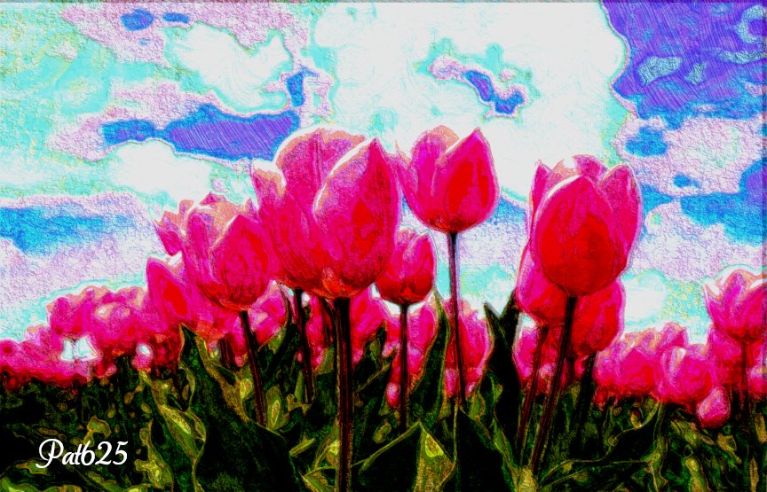 DN_Acry Look 2.10. Tulips.jpg