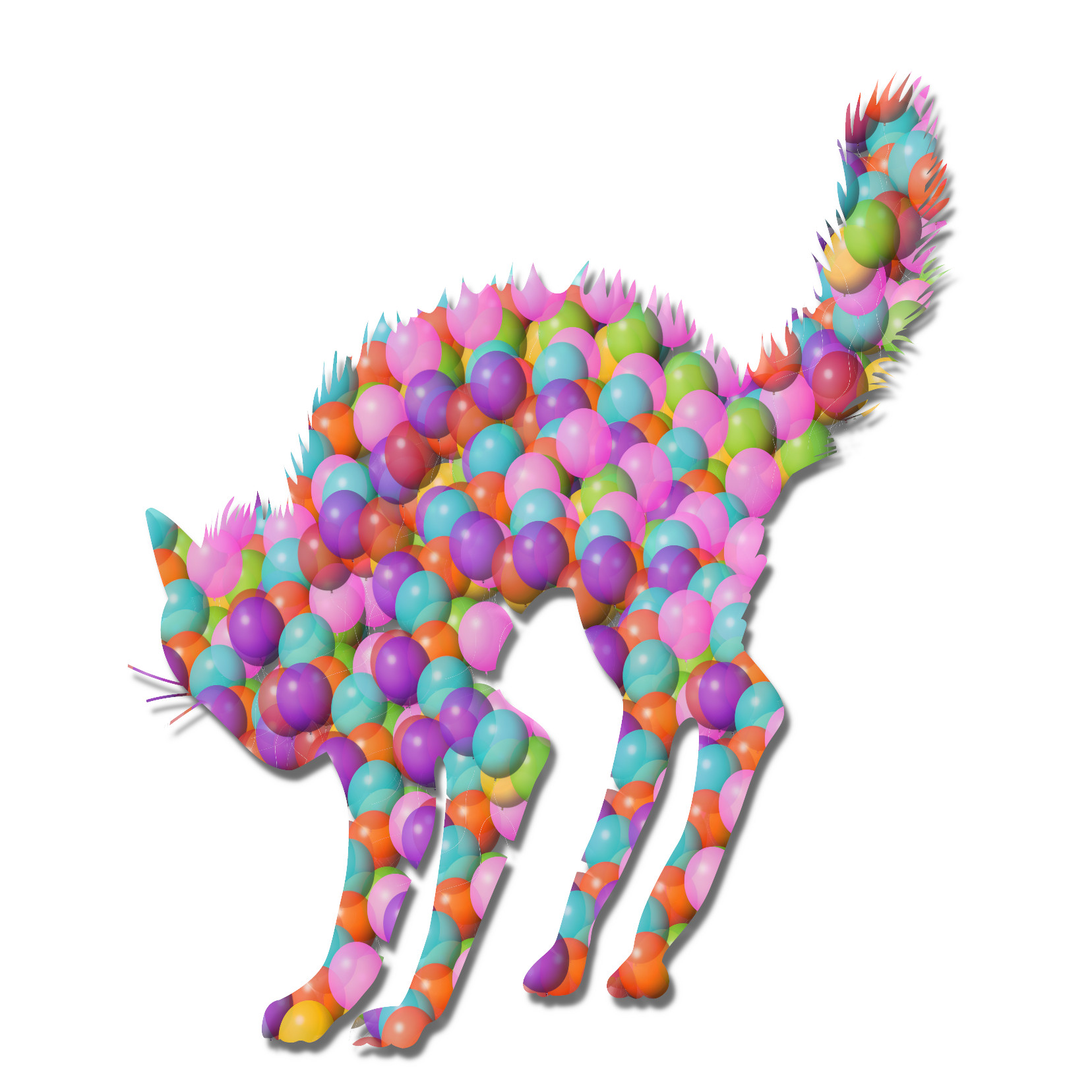 test.jpg