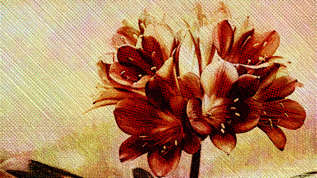 vintage_flowers-DN_Autohatch+LinesLook_M.jpg