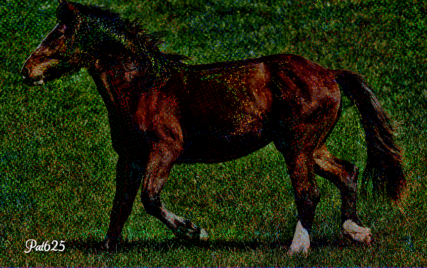 DN_AutoHatch.Crazy Draw ON Dark.Horse.jpg