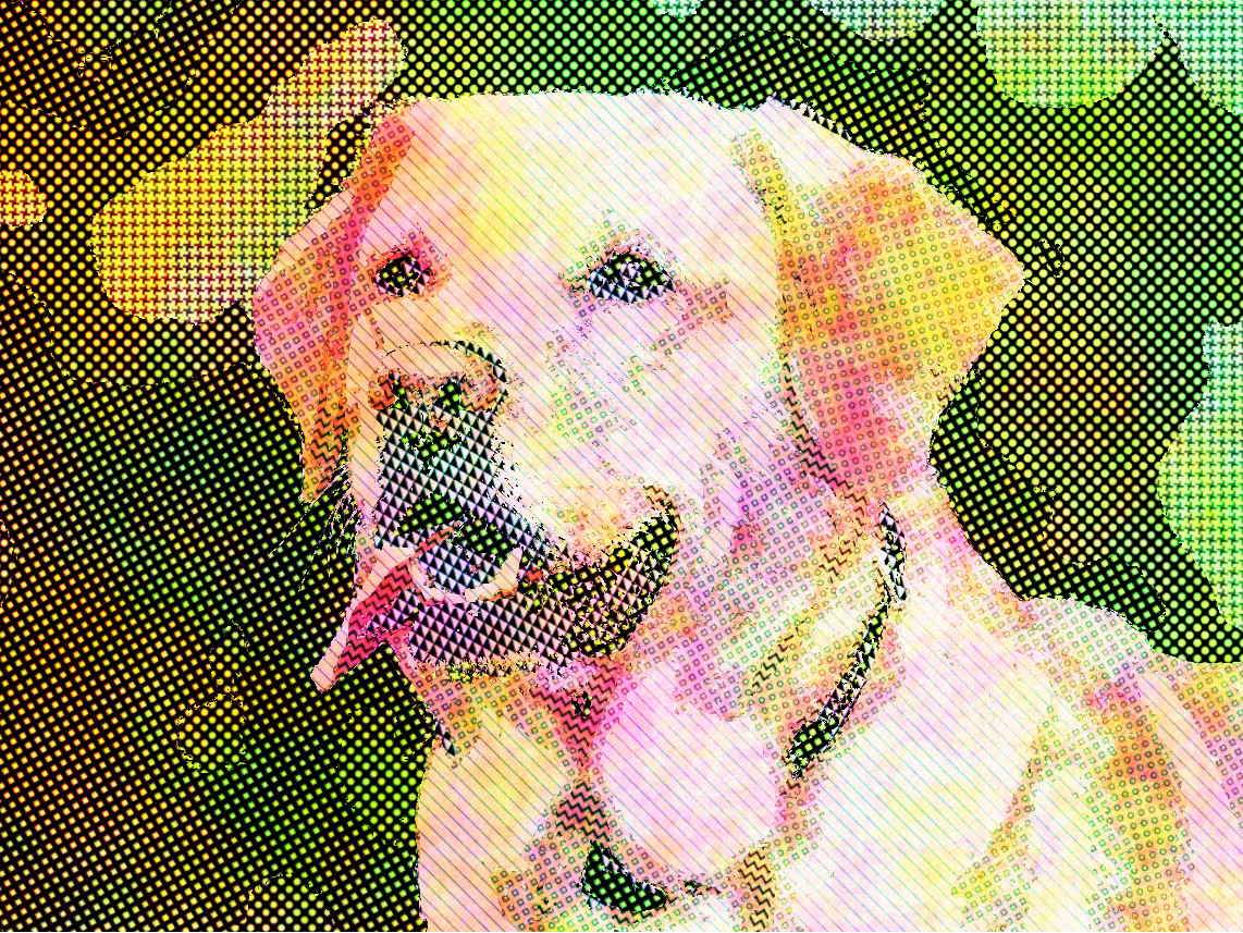 2018-10-23 09-47-47 dog-1210559_1280, auto-hatched.jpg