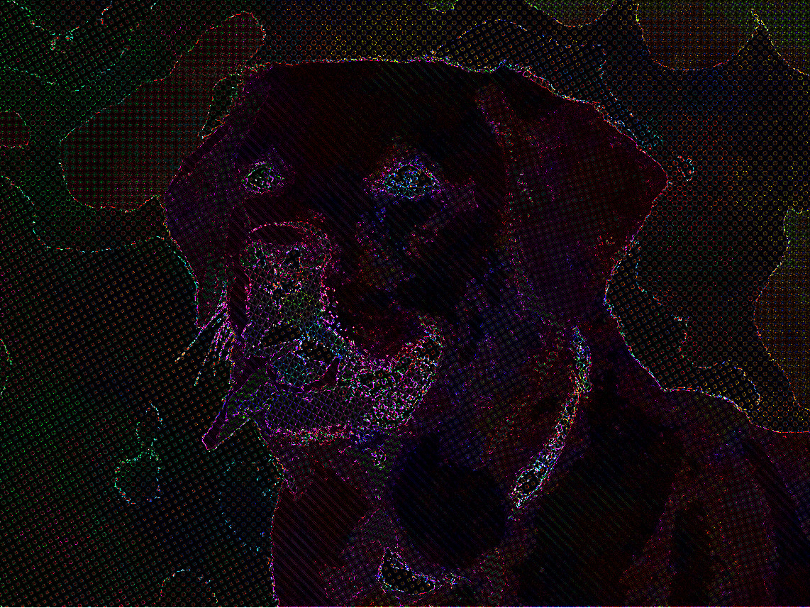 2018-10-23 10-01-52 2018-10-23 09-47-47 dog-1210559_1280, auto-hatched Outcome of DrawOnBlack rotated BRG.jpg