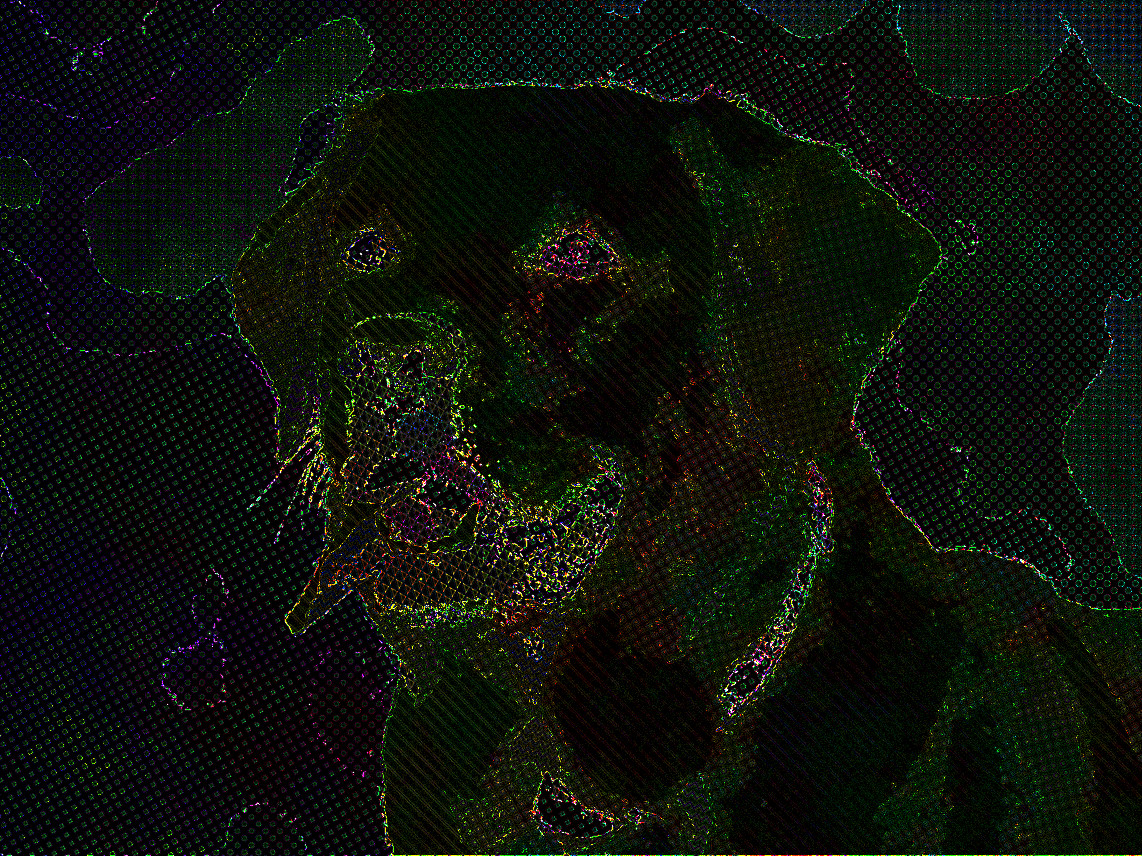 2018-10-23 10-01-52 2018-10-23 09-47-47 dog-1210559_1280, auto-hatched Outcome of DrawOnBlack rotated GBR.jpg