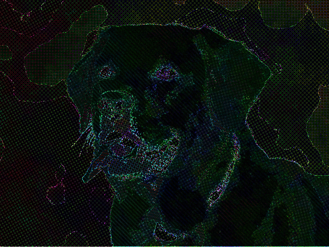 2018-10-23 10-01-52 2018-10-23 09-47-47 dog-1210559_1280, auto-hatched Outcome of DrawOnBlack rotated RBG.jpg