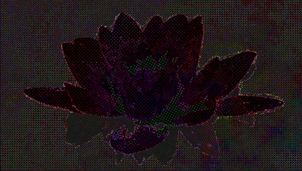 bloom-blossom-flora-158567_DN_Autohatch_CrazyDrawOnDark.jpg