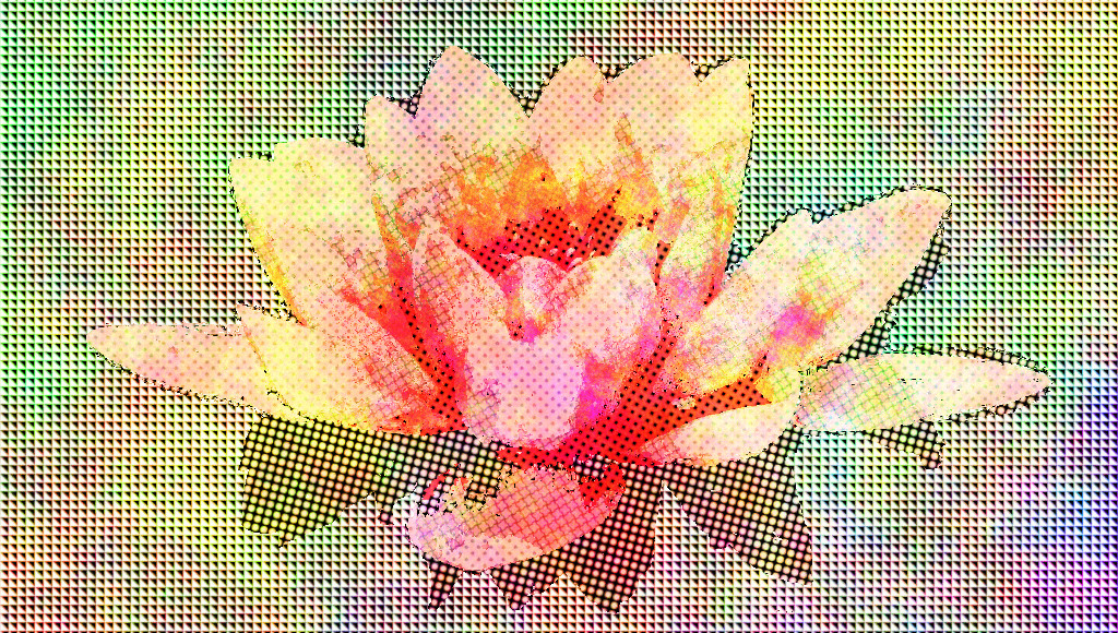bloom-blossom-flora-158567_DN_Autohatch.jpg