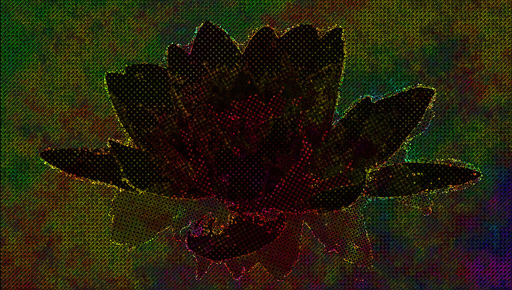 bloom-blossom-flora-158567_DN_Autohatch_CrazyDrawOnDark_H.jpg