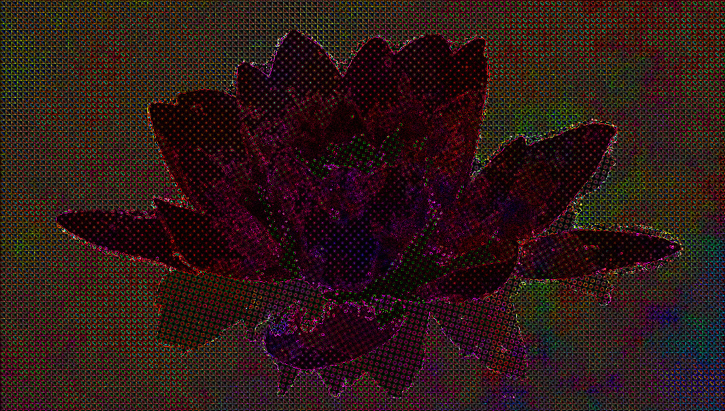 bloom-blossom-flora-158567_DN_Autohatch_CrazyDrawOnDark_SL.jpg