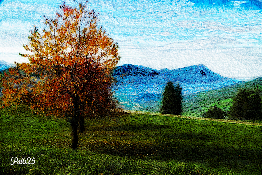 DN_AcryLook.Landscape.Tree.jpg