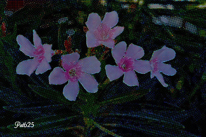 DN_AutoHatch 2.10. Draw on Dark.Flowers.jpg