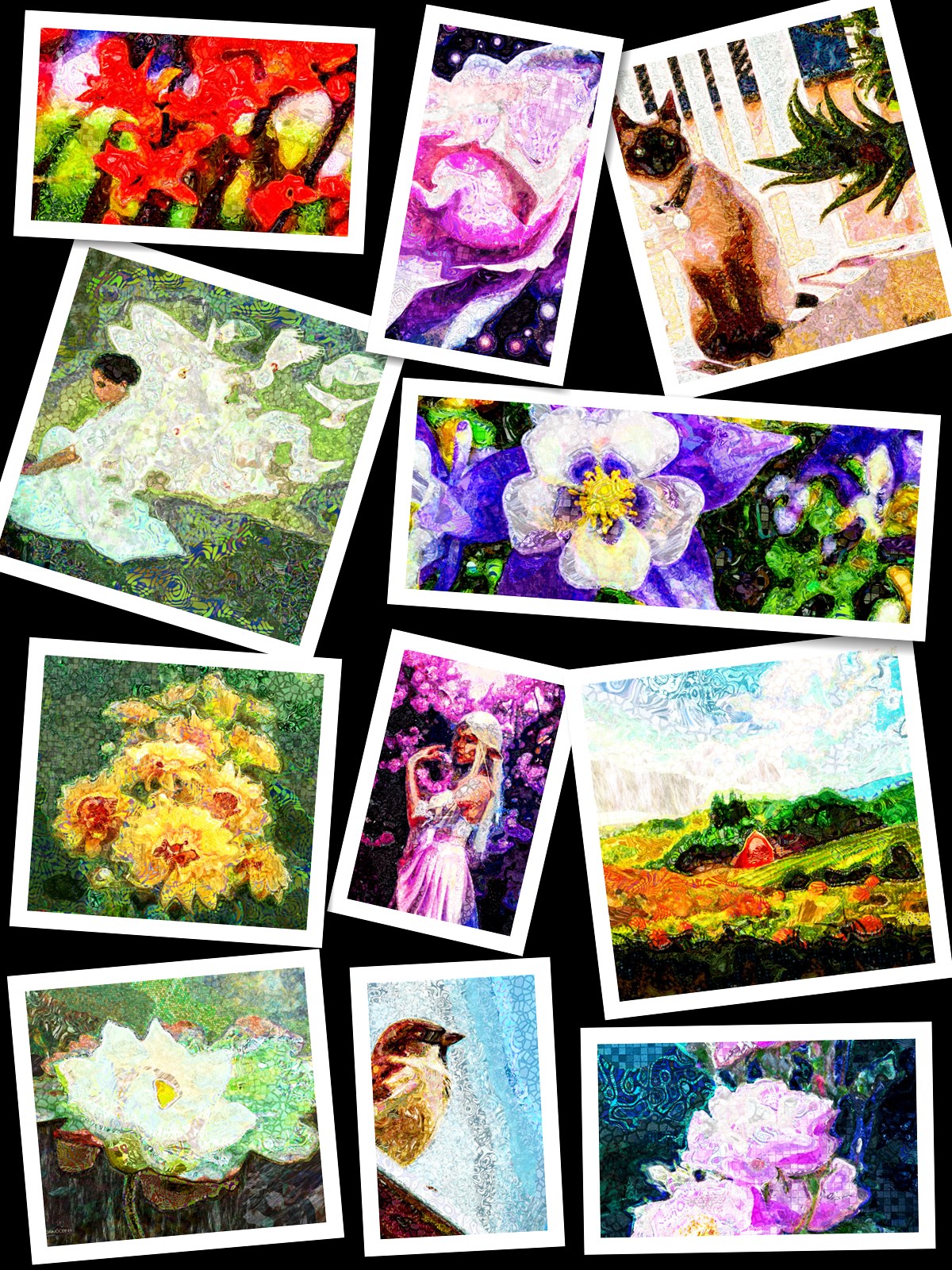 Collection 2 Texture Look.jpg