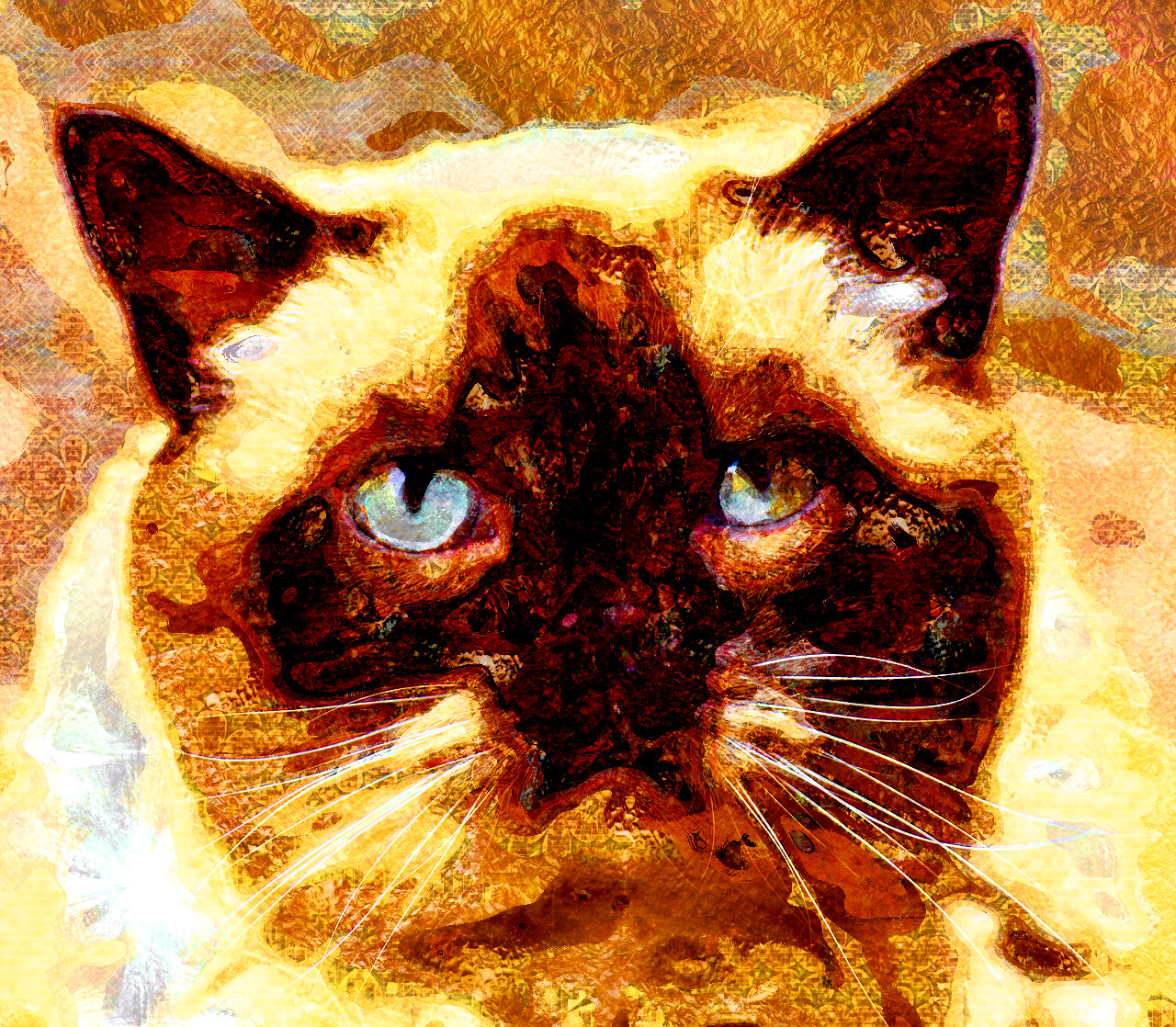 british-shorthair-3055340_DN_TextureLook.jpg