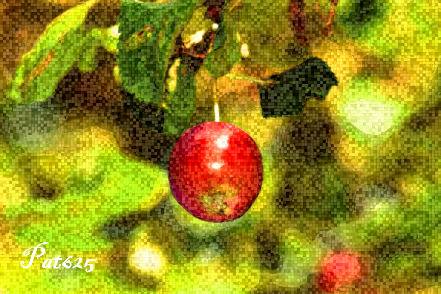 DN Texture Look 2.10.Pave Single pat.Apple.jpg