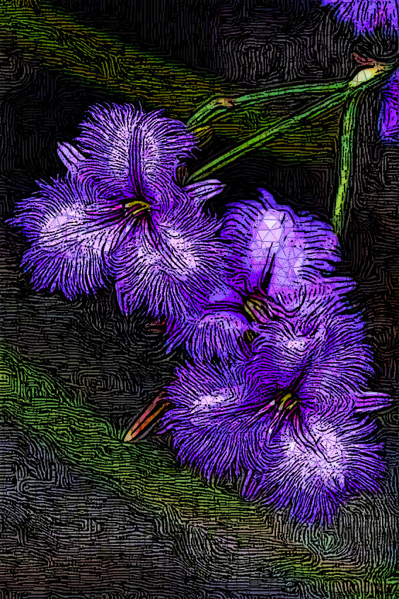 fringe lilly_Result1_From Dinasset Tut.jpg