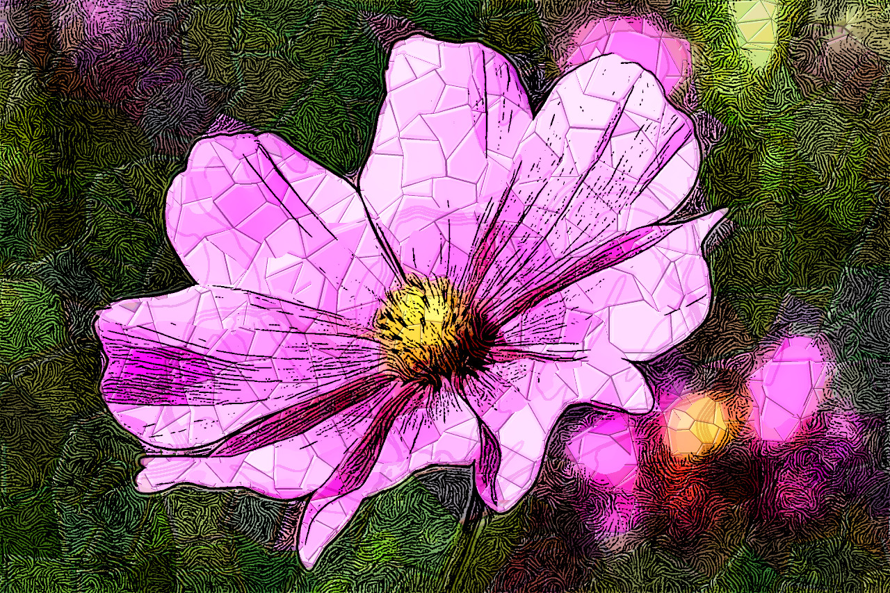 cosmea-3711568_Resut2_Dinasset_Tut.jpg