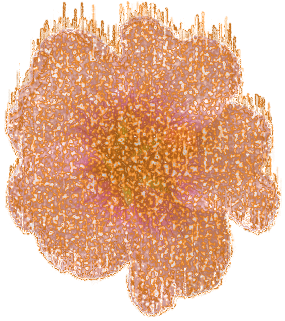 fp030407-20_ir.png
