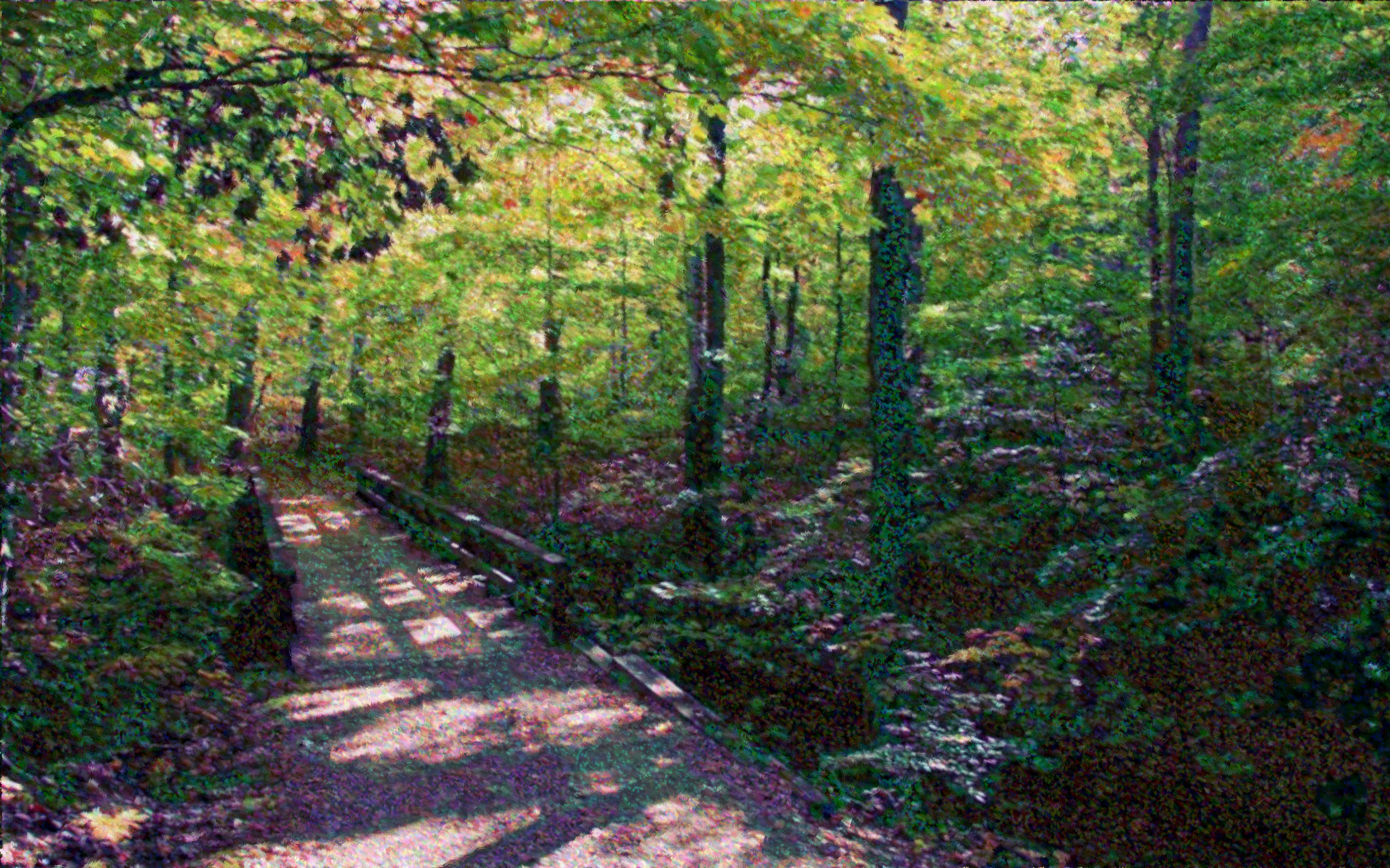 68083_DN_Seurat_3600.jpg
