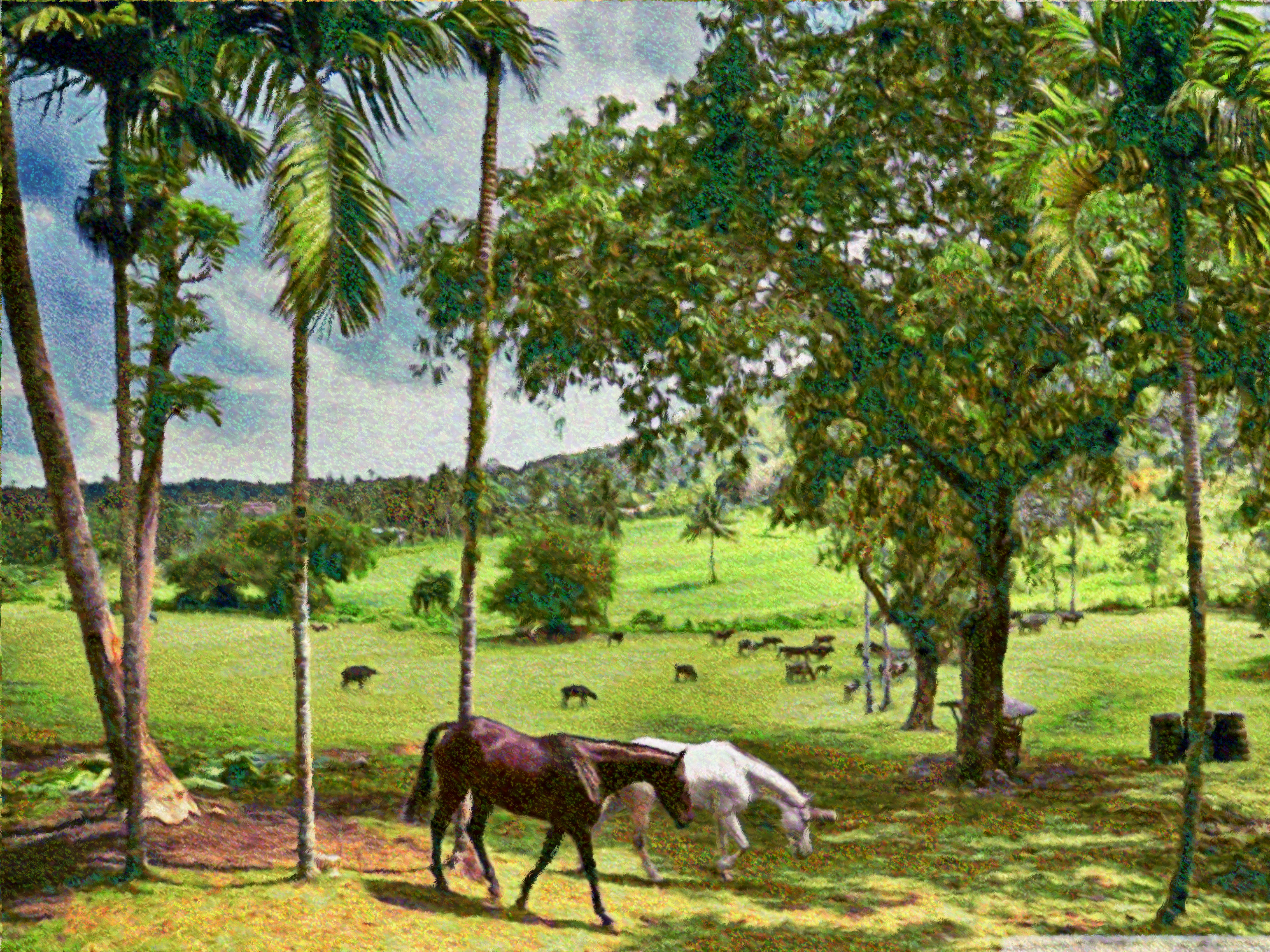 happy_farm-DN_Seurat.jpg
