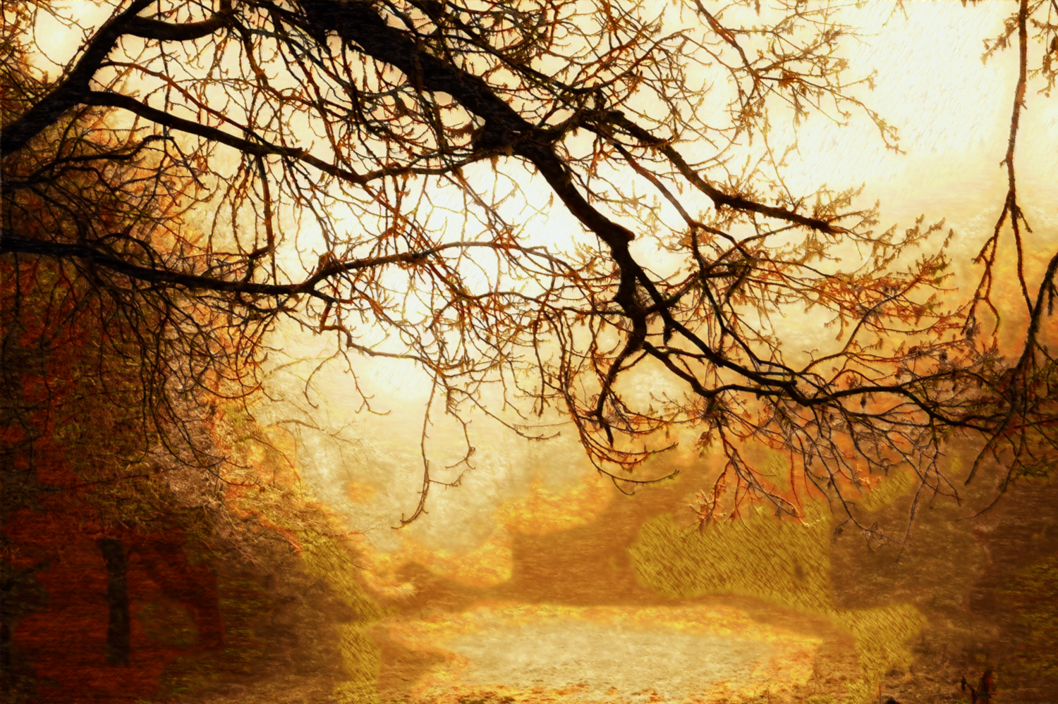 Pissarro_Tree_Branche.png