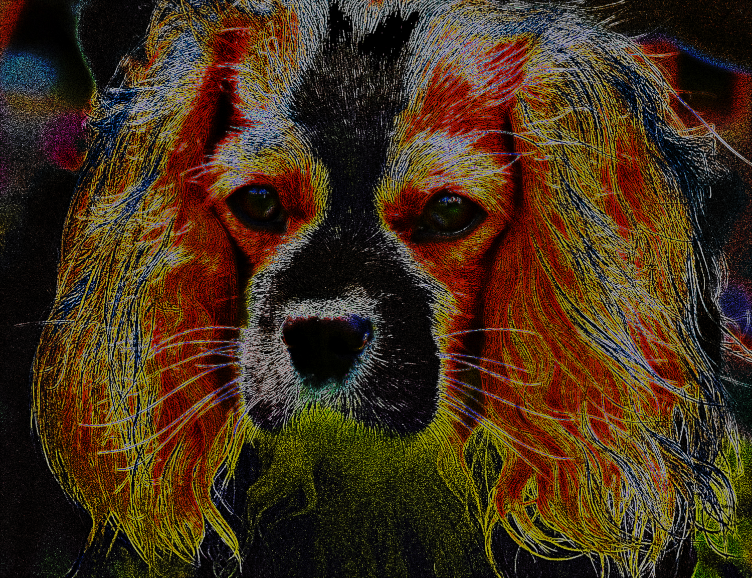 Dog_CrazyDrawOnDark.png