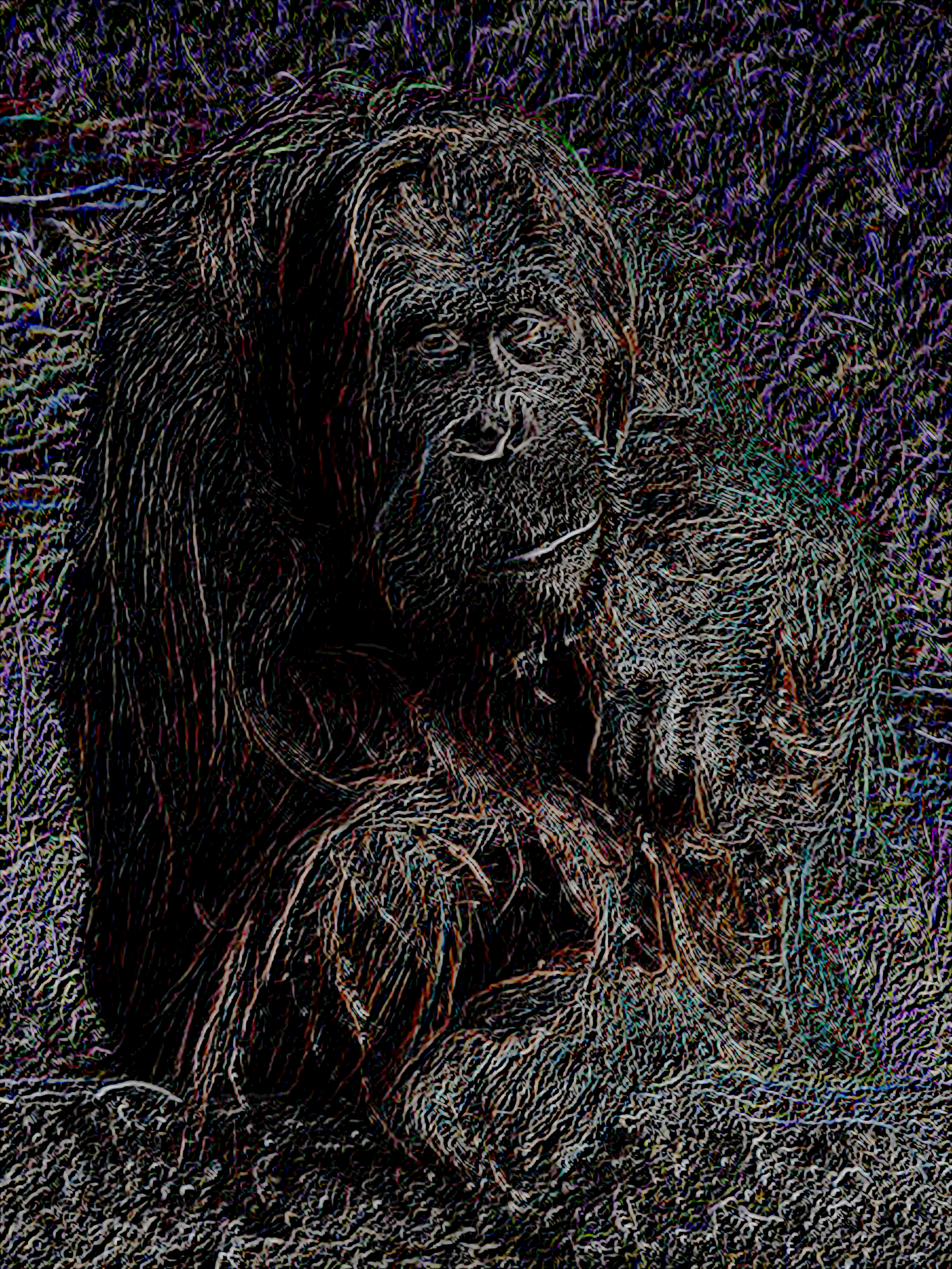 output.png