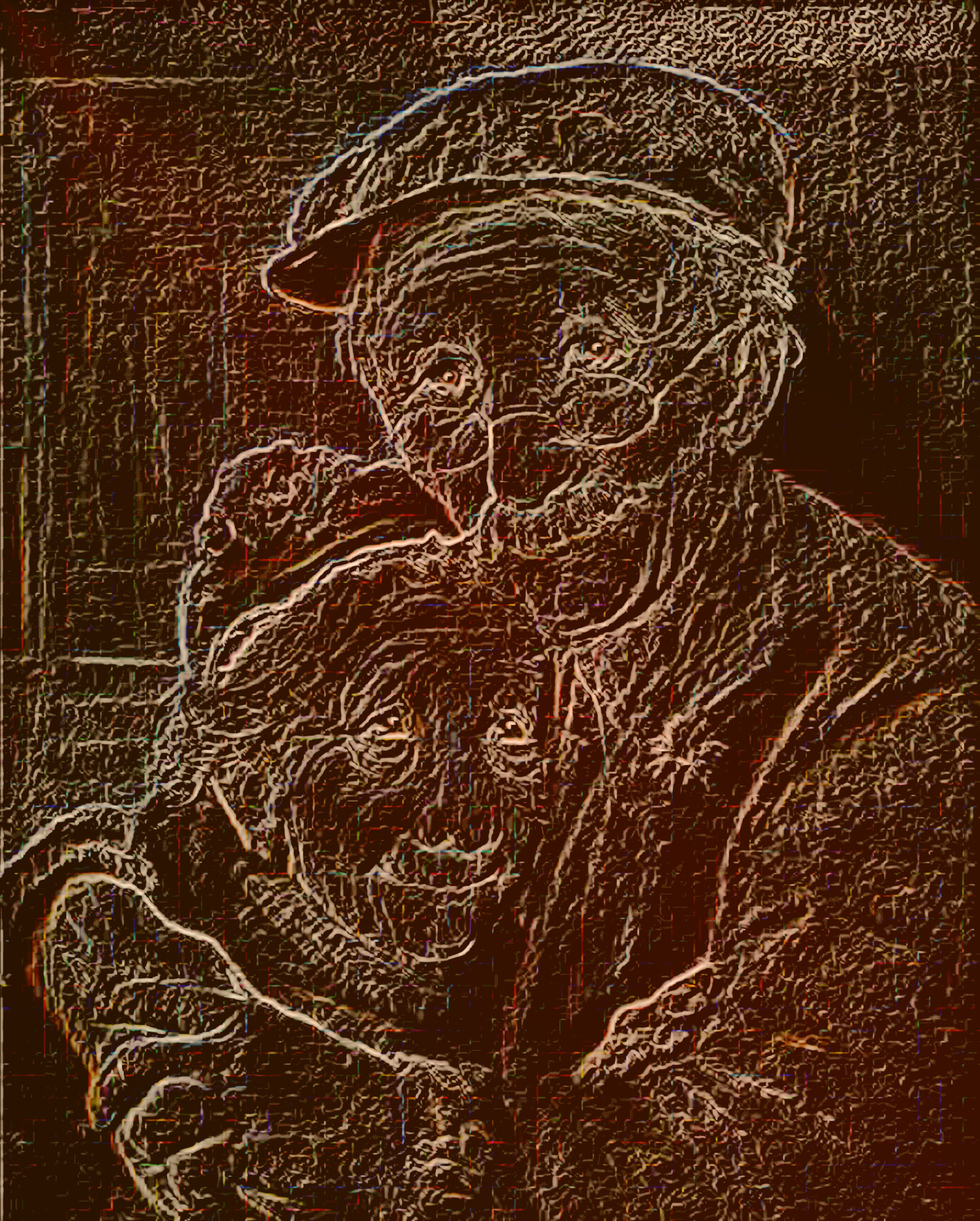 ancianos_DN_DrawOnBlackPaper.jpg