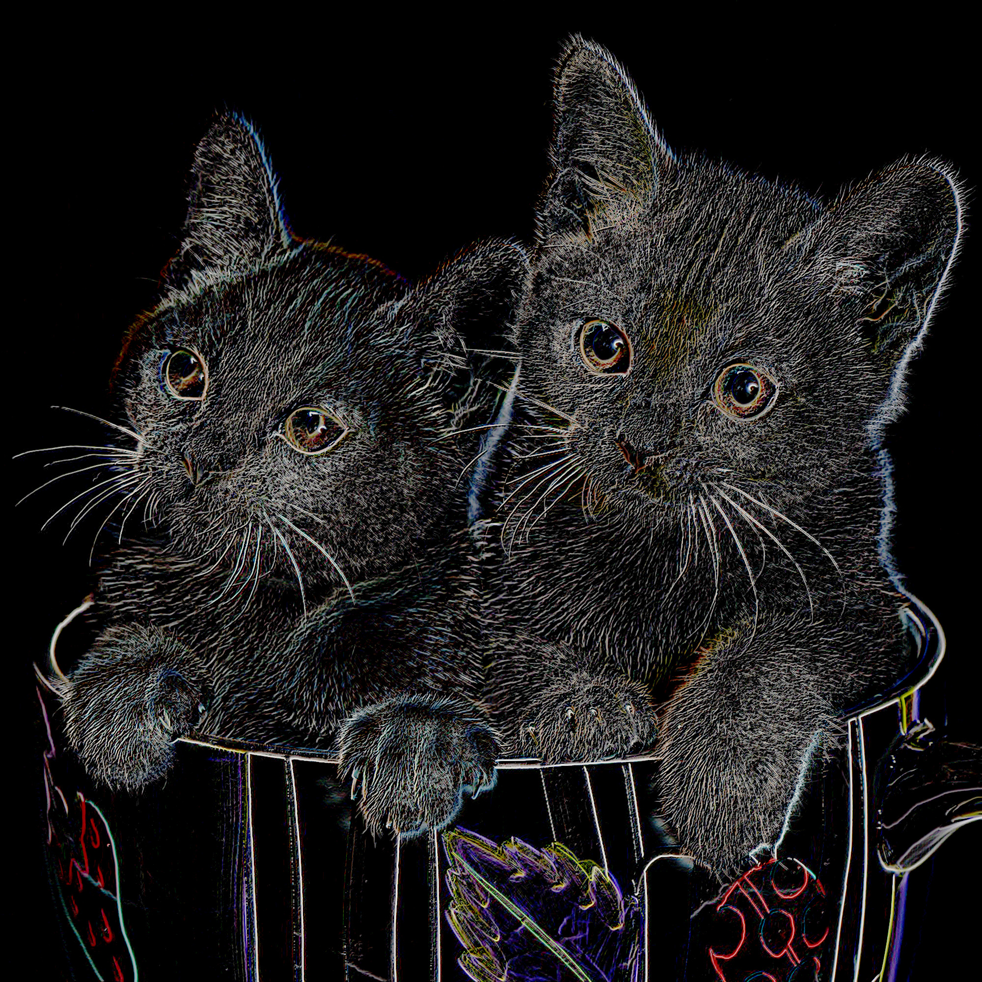 cat-3269765_DN_DrawOnDarkPaper.jpg