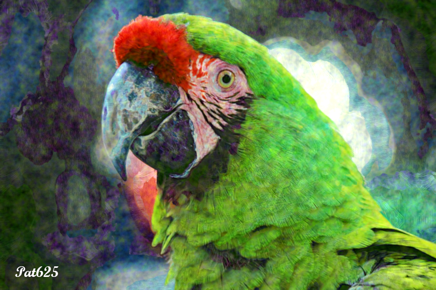 DN_XIX Artists Sim.Cezanne.MaCaw.jpg