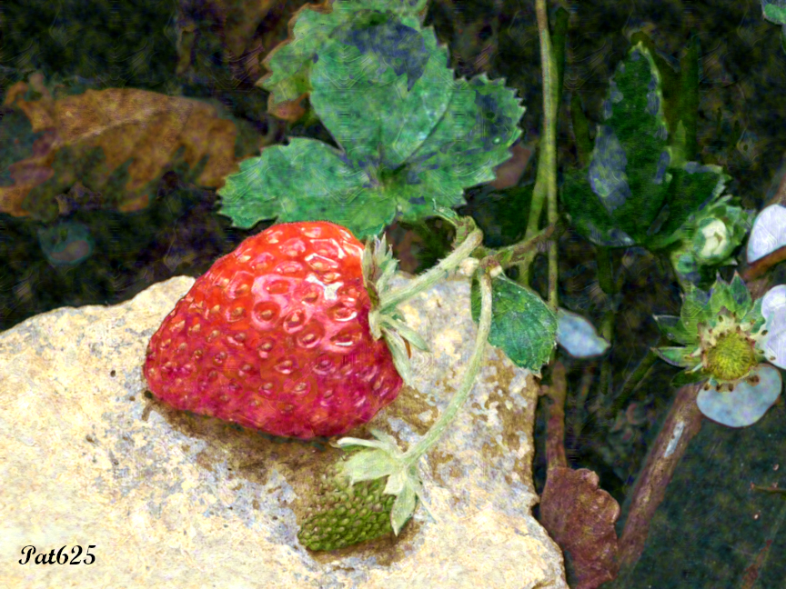 DN_XIX Artists Sim.Cezanne.Strawberry.jpg