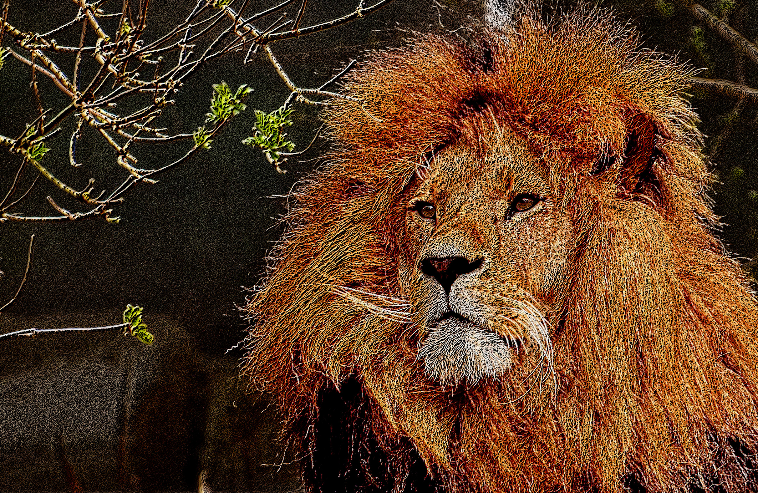 lion-3372720_DN_ColorPencilDrawOnBlackPaper.jpg